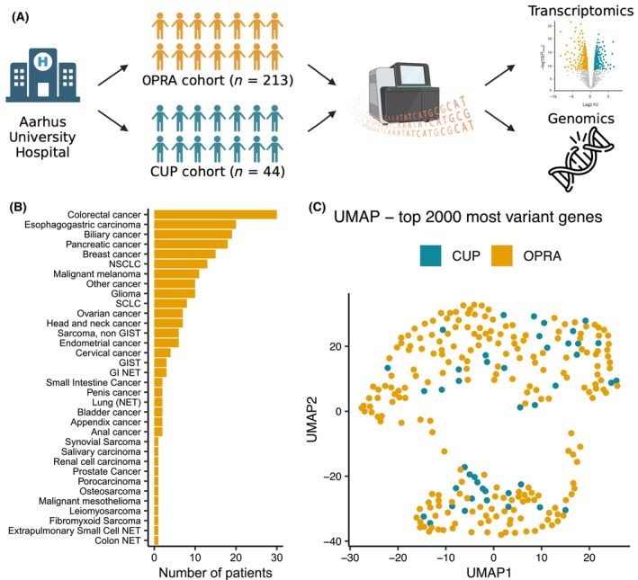 Exploring the molecular landscape of cancer of unknown primary: A comparative analysis with other metastatic cancers.