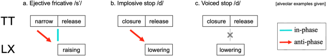 Vertical larynx actions and intergestural timing stability in Hausa ejectives and implosives.