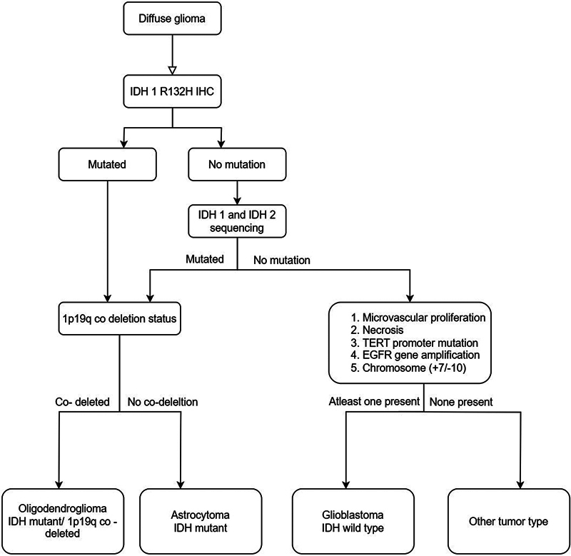 Role of Advanced Magnetic Resonance Imaging in Differentiating among Glioma Subtypes and Predicting Tumor-Proliferative Behavior.