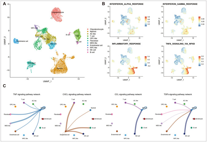The Inflammatory Characteristics of Symptomatic Glioma Associated With Poor Prognosis and Chemoresistance via Tumor Necrosis Factor Signaling Pathway.