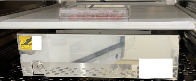 Three-Dimensional Culture of Glioblastoma Cells Using a Tissueoid Cell Culture System.