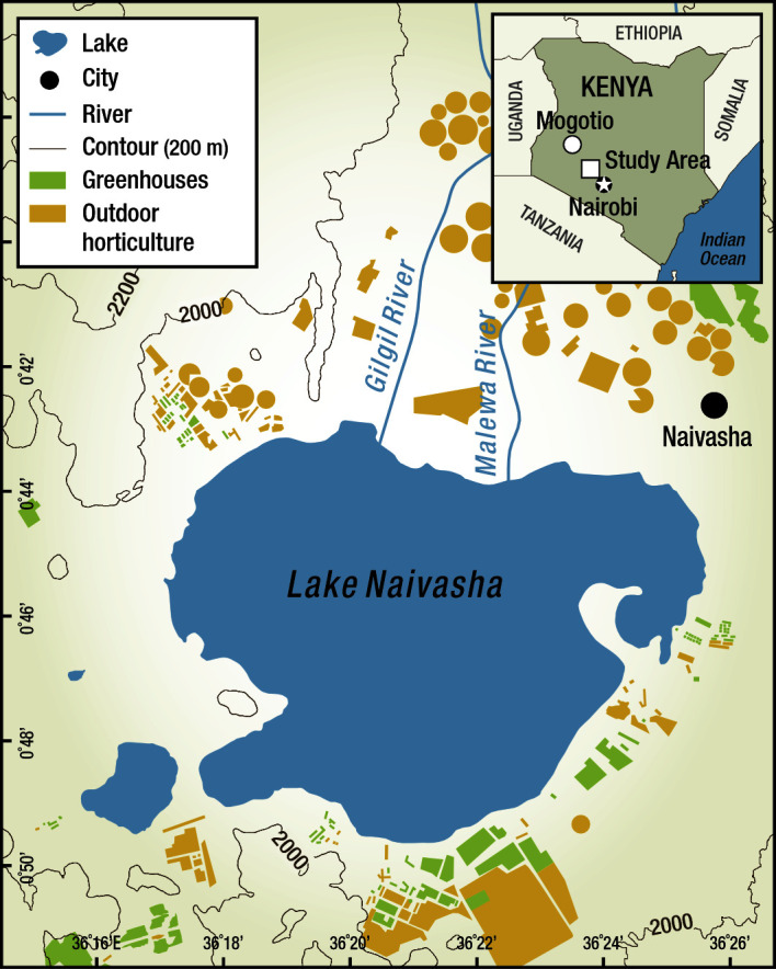 A geo-gender-based analysis of human health: The presence of cut flower farms can attenuate pesticide exposure in African communities, with women being the most vulnerable.
