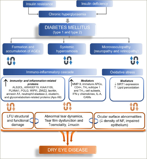 Dry Eye in Diabetes: The Indian Diabetic and Endocrine Eye Diseases (INDEED) Review.