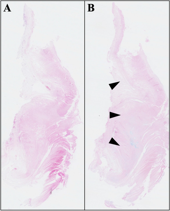 Abstract Image
