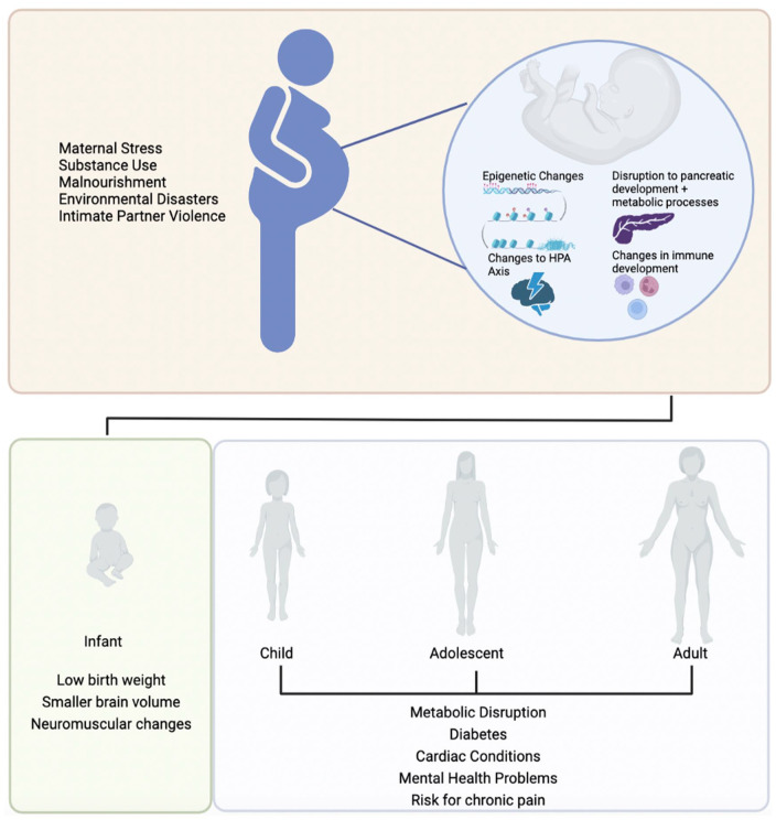 Critical Windows: Exploring the Association Between Perinatal Trauma, Epigenetics, and Chronic Pain.