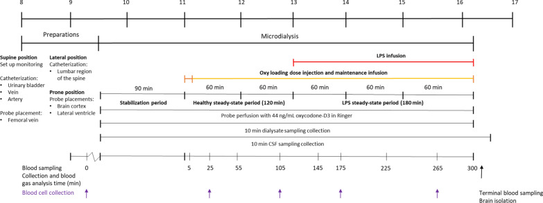 Active CNS delivery of oxycodone in healthy and endotoxemic pigs.