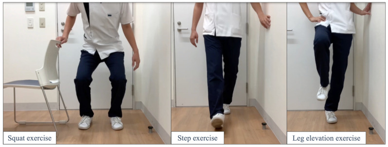 A Pilot Trial of Telerehabilitation for Chronic Stroke Survivors: A Case-series Study of Three Individuals.