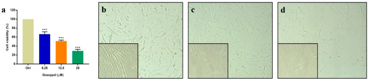 Effect of Gossypol on Gene Expression in Swine Granulosa Cells.