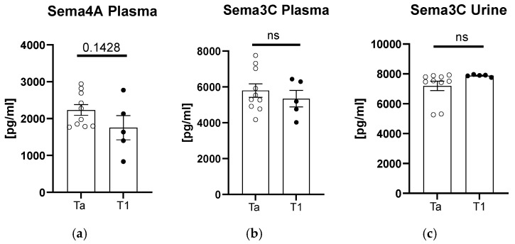 A Pilot Study of the Role of Semaphorin 4A (sema4A) and 3C (sema3C) in Non-Muscle-Invasive Bladder Cancer (NMIBC).