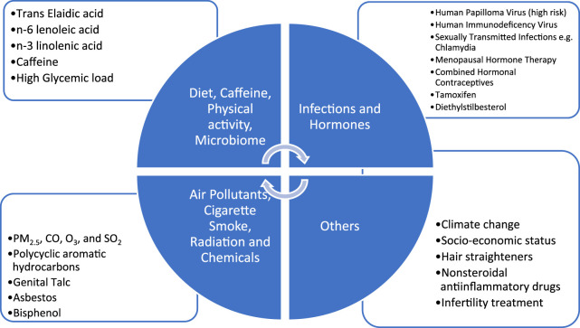 Environment and gynaecologic cancers.