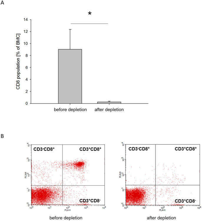 Enhancement of a one-step membrane technique for the treatment of large bone defects by pre-seeding the membrane with CD8 lymphocyte depleted bone marrow mononuclear cells in a rat femoral defect model.