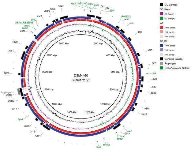 First comparative genomics analysis of Corynebacterium auriscanis.