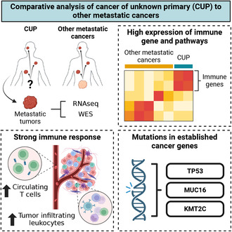Exploring the molecular landscape of cancer of unknown primary: A comparative analysis with other metastatic cancers.