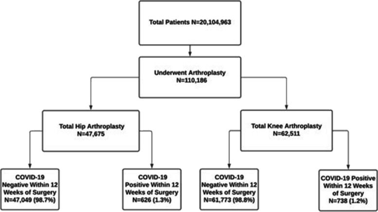 Timing of total joint arthroplasty post-COVID-19: an evaluation of the optimal window to minimize perioperative risks.