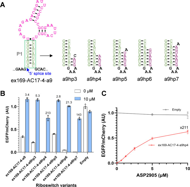 Optimization of Exon-Skipping Riboswitches and Their Applications to Control Mammalian Cell Fate.