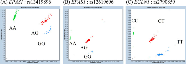 Sex differences in genotype frequency and the risk of polycythemia associated with rs13419896 and rs2790859 among Tibetan highlanders living in Tsarang, Mustang, Nepal.