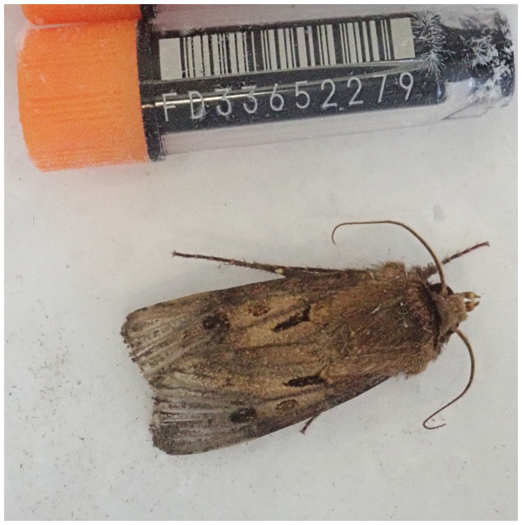 Abstract Image