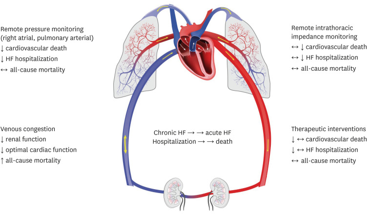 Adequacy of Ambulatory Hemodynamic Assessments for Reducing All-Cause Mortality in Individuals With Heart Failure.