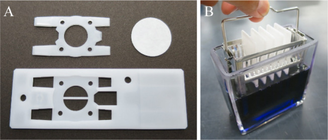Three-Dimensional Culture of Glioblastoma Cells Using a Tissueoid Cell Culture System.