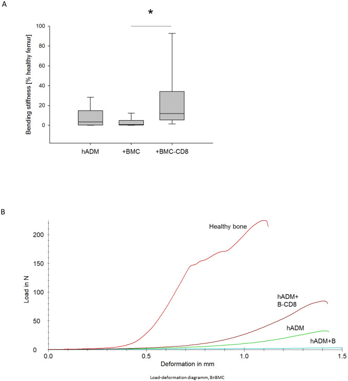 Enhancement of a one-step membrane technique for the treatment of large bone defects by pre-seeding the membrane with CD8 lymphocyte depleted bone marrow mononuclear cells in a rat femoral defect model.