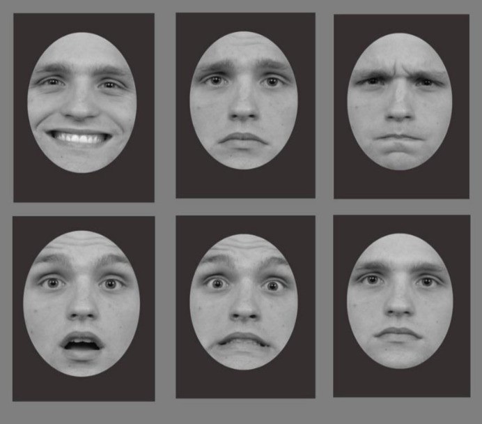 Validity Study of an Emotional Face-Database in Iranian Community.