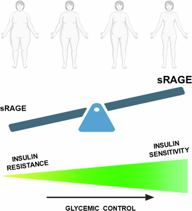 Soluble receptors for advanced glycation endproducts are predictors of insulin sensitivity and affected by weight loss.