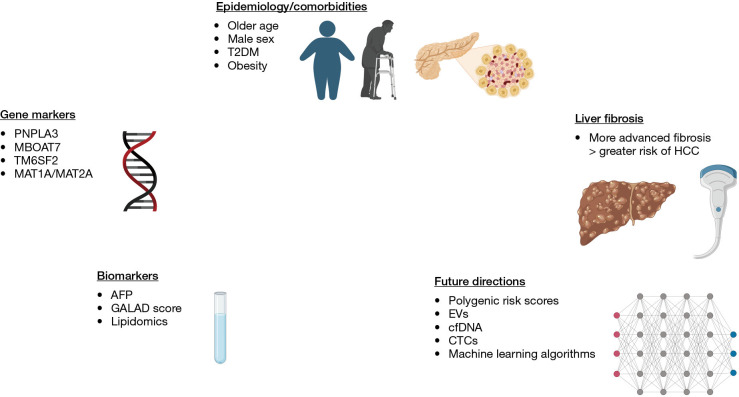 Hepatocellular carcinoma risk prediction and early detection in patients with metabolic dysfunction associated steatotic liver disease.
