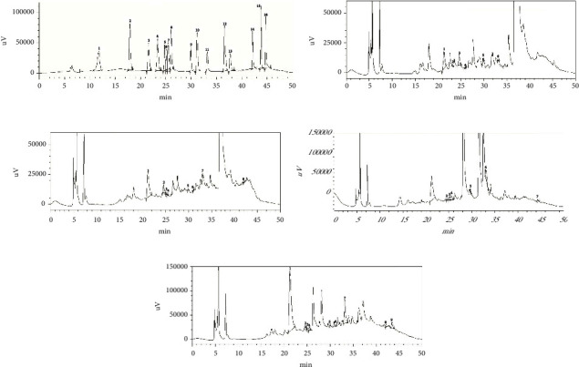 Comparative Analysis of Phytochemicals and Antioxidant Characterization Among Different Parts of <i>Catharanthus roseus</i>: In Vitro and In Silico Investigation.