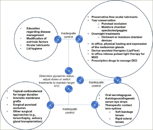 Dry Eye in Diabetes: The Indian Diabetic and Endocrine Eye Diseases (INDEED) Review.