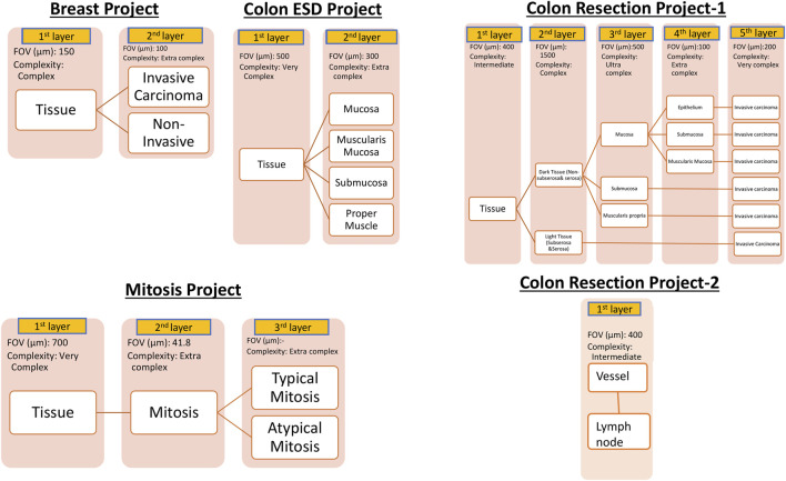 Artificial intelligence-based automated determination in breast and colon cancer and distinction between atypical and typical mitosis using a cloud-based platform.