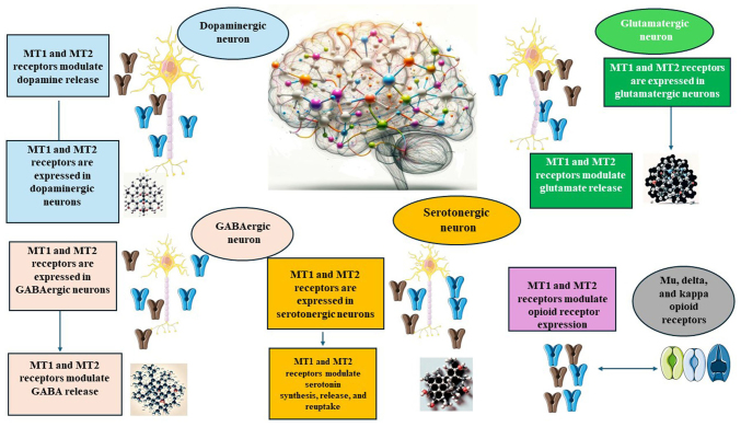 Exploring the association between melatonin and nicotine dependence (Review).