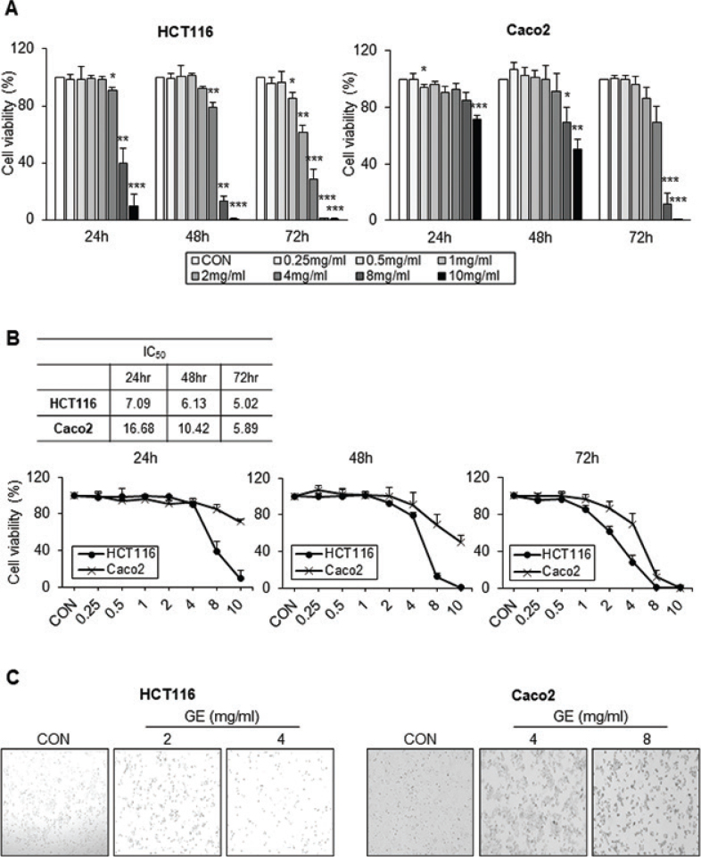 <i>Gochujang</i> suppresses cell survival and changes reactive oxygen species metabolism in colorectal cancer cells.