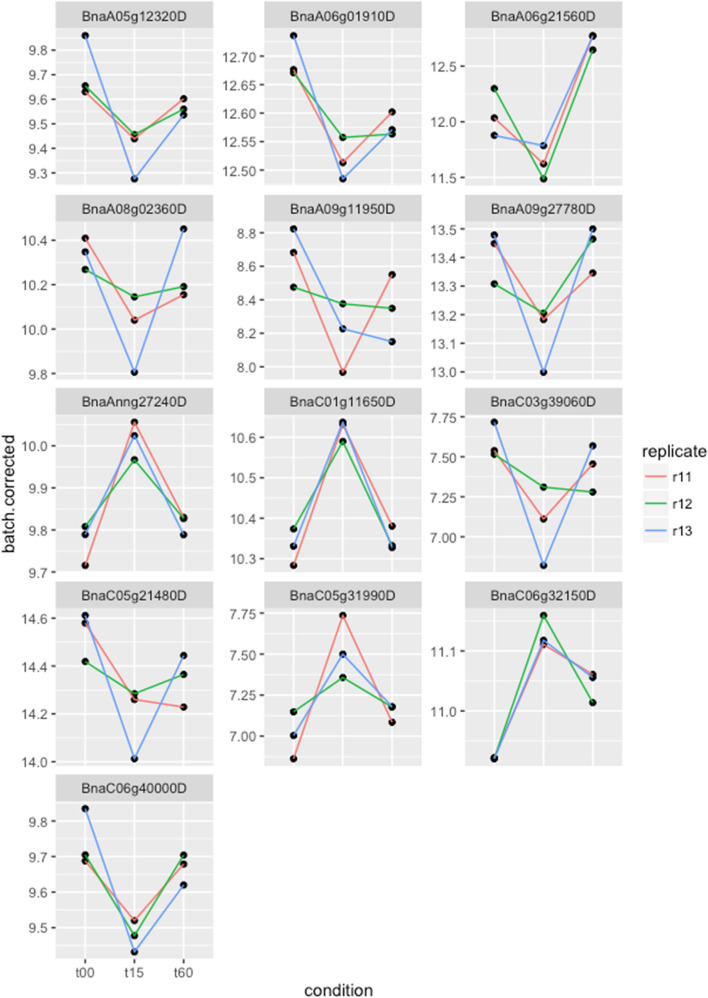 Transcriptomic dynamics of ABA response in Brassica napus guard cells.