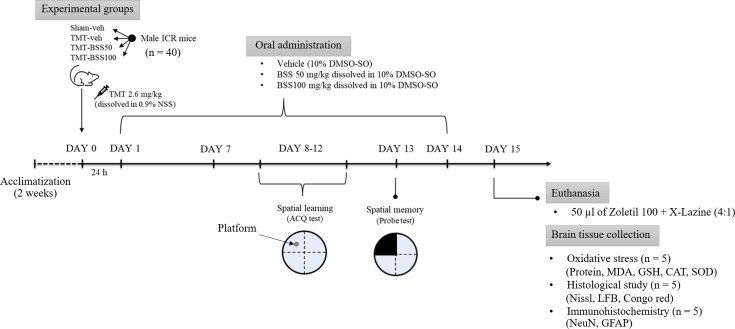 Beta-sitosterol mitigates cognitive deficit and hippocampal neurodegeneration in mice with trimethyltin-induced toxicity.
