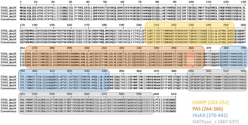 Dalbavancin-resistant <i>Staphylococcus epidermidis in vivo</i> selection following a prosthetic joint infection: phenotypic and genomic characterization.