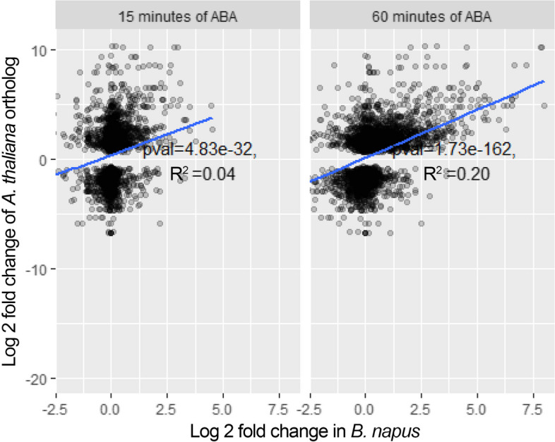 Transcriptomic dynamics of ABA response in Brassica napus guard cells.