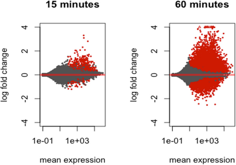 Transcriptomic dynamics of ABA response in Brassica napus guard cells.