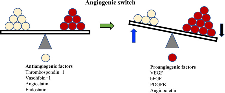 Beyond starving cancer: anti-angiogenic therapy.