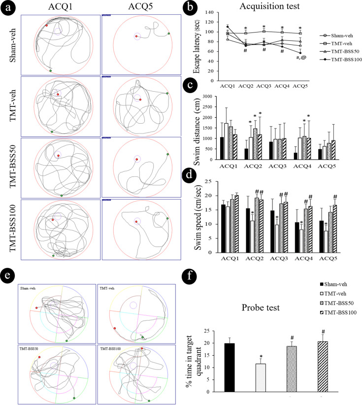 Beta-sitosterol mitigates cognitive deficit and hippocampal neurodegeneration in mice with trimethyltin-induced toxicity.