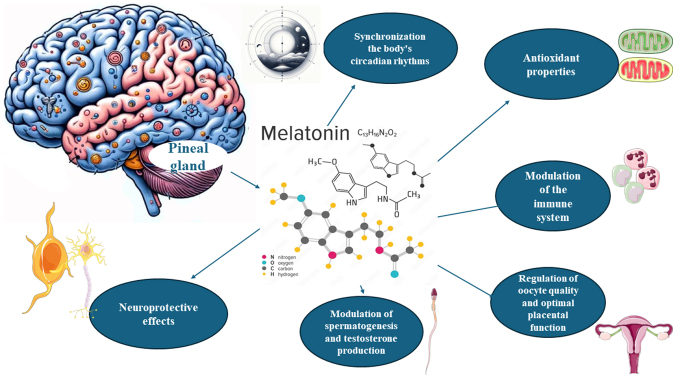 Exploring the association between melatonin and nicotine dependence (Review).