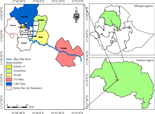 Dairy Farmers' Knowledge, Attitudes, and Practices (KAP) Towards Aflatoxin Contamination in Milk and Feeds in Bahir Dar, Ethiopia.
