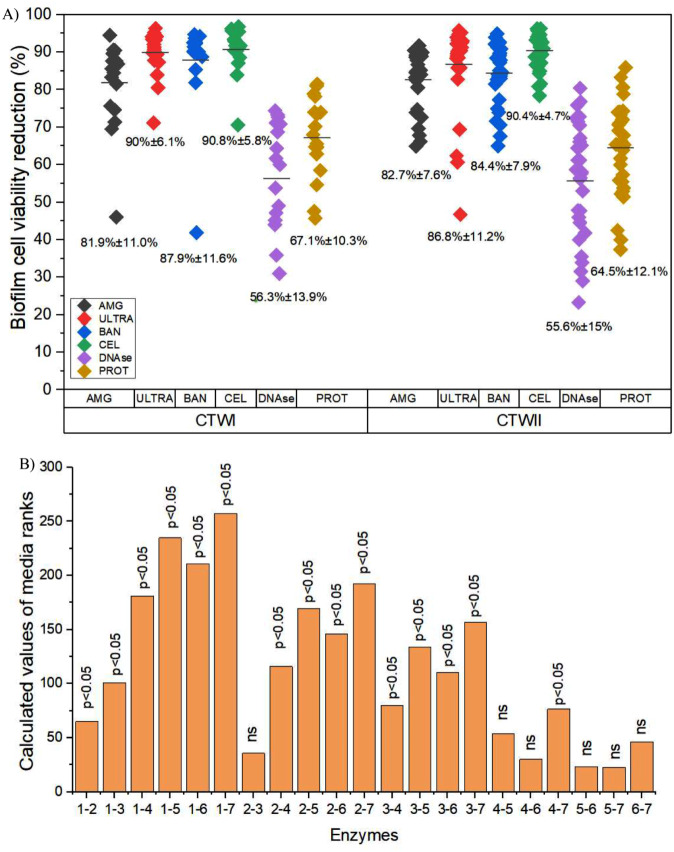 The activity of hydrolytic enzymes and antibiotics against biofilms of bacteria isolated from industrial-scale cooling towers.