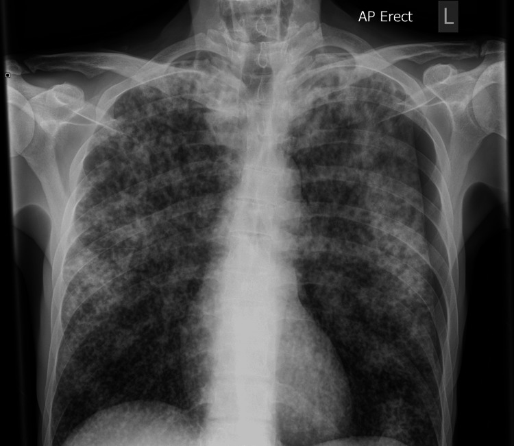 Abstract Image