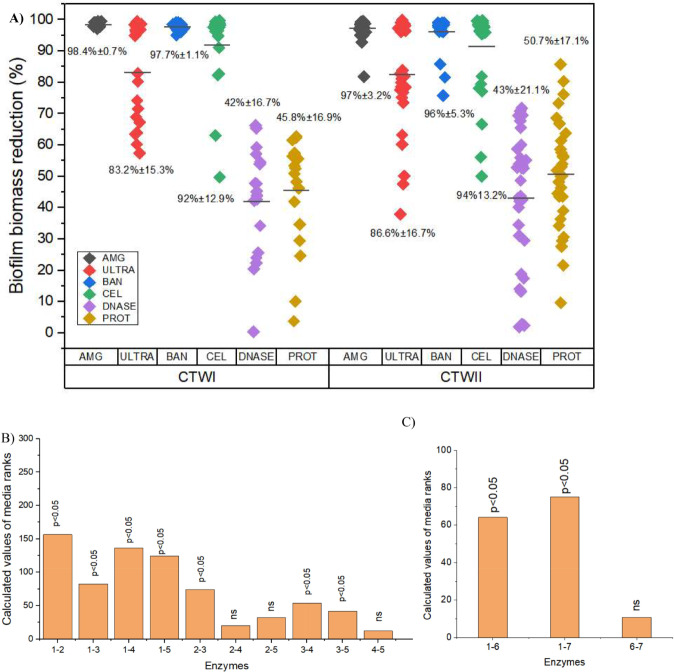 The activity of hydrolytic enzymes and antibiotics against biofilms of bacteria isolated from industrial-scale cooling towers.
