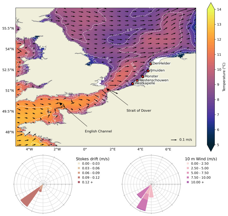 Modelling drift of cold-stunned Kemp's ridley turtles stranding on the Dutch coast.