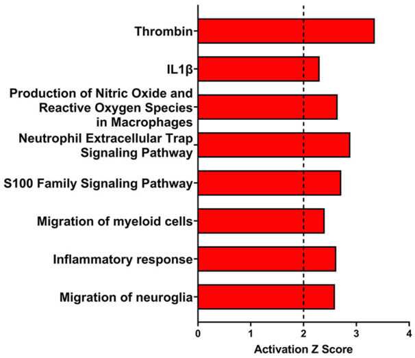 Cerebral Proteomic Changes in the rTg-D Rat Model of Cerebral Amyloid Angiopathy Type-2 With Cortical Microhemorrhages and Cognitive Impairments.