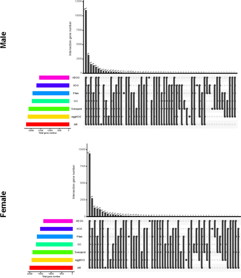The full-length transcriptional of the multiple spatiotemporal embryo-gonad tissues in chicken (Gallus gallus).