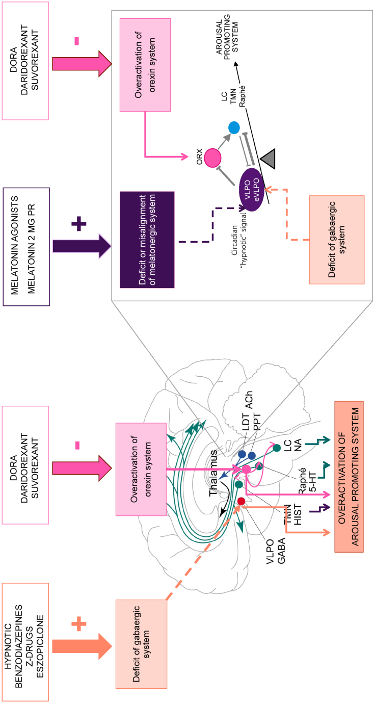 Effects of Approved Pharmacological Interventions for Insomnia on Mood Disorders: A Systematic Review.