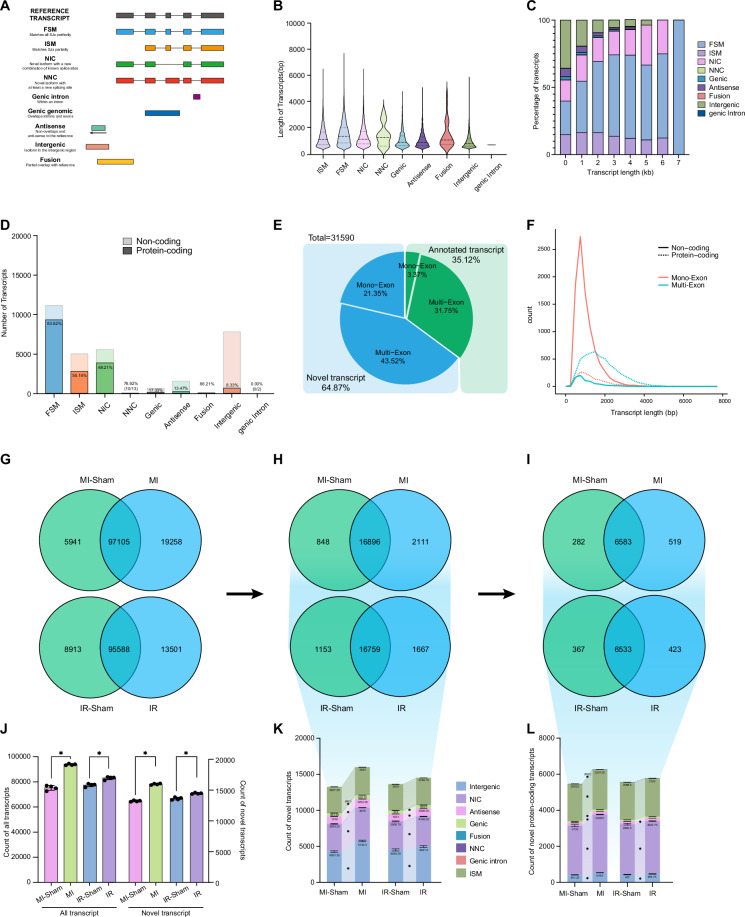 The alternative splicing landscape of infarcted mouse heart identifies isoform level therapeutic targets.