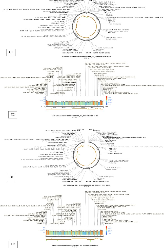 The evaluation of SARS-CoV-2 mutations at the early stage of the pandemic in Istanbul population.